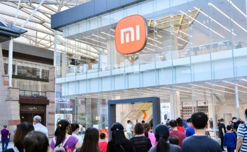 雷軍放話小米對標蘋果 為何社會支持難以比肩華為？